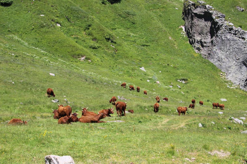 Les Cascades Apartman Mont-Dore Szoba fotó