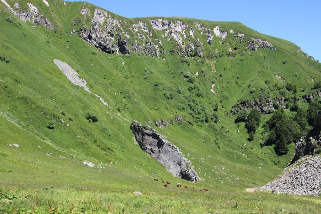 Les Cascades Apartman Mont-Dore Szoba fotó